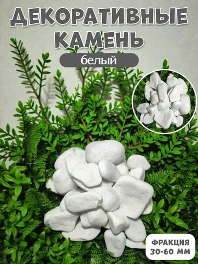 Kамень, цветные камни для украшения декора, ландшафта, аквариума и цветочных горшков — PNDCCPT-123KG-МОЛОЧ-1 kg