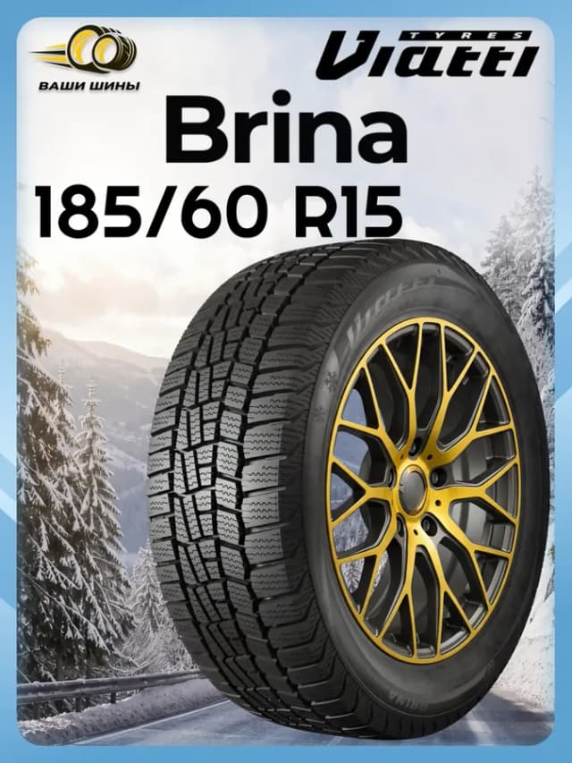Шины зимние 185 60 R15 V-521 (липучка)