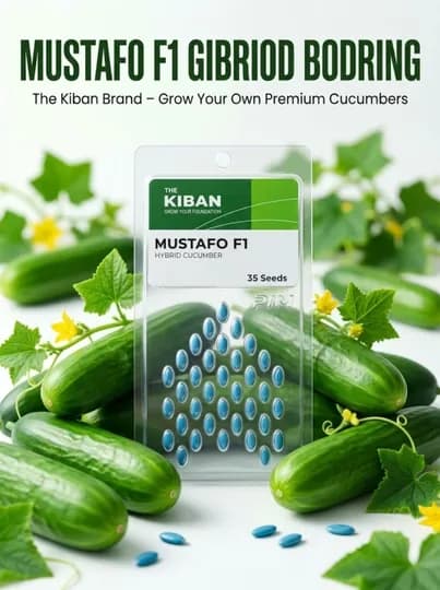 THE KIBAN – MUSTAFO F1 Гибридные семена гладких огурцов 35 шт — PIMSEED-BLS002