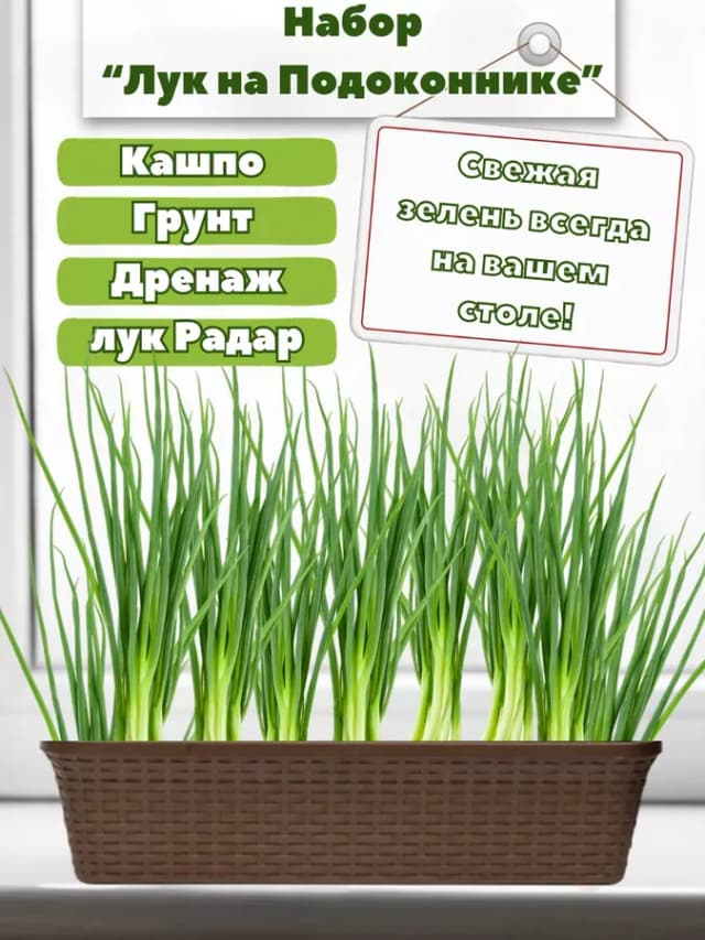 Набор Лук на Подоконнике