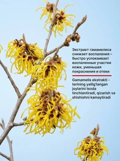 Гель от прыщей и акне ZODIAC, алоэ вера, точечный крем для проблемной кожи лица, 20 мл — ZODIAC-Z23