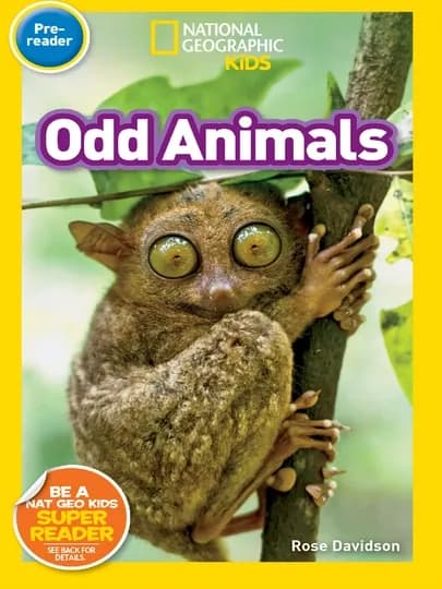 National Geographic Kids: Набор 30шт, 3шт или 1шт по выбору — USATOYS-PREREADER-ВИШН