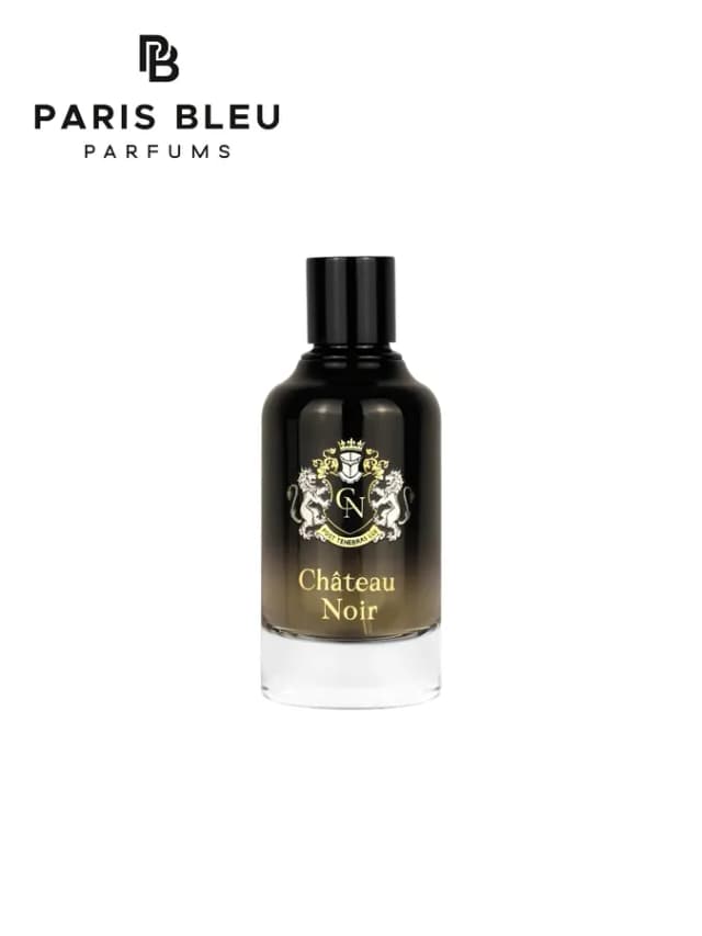 Мужская парфюмерная вода Paris Bleu Château Noir EDP 100 мл