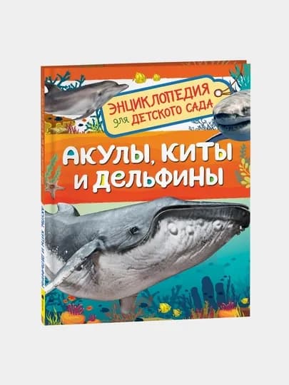 Акулы, киты и дельфины, Энциклопедия для детского сада — GORFAM-GRH2847