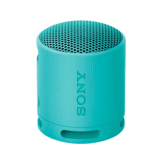 Портативная акустика Sony SRS-XB100, blue