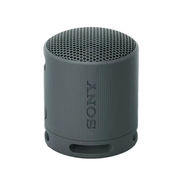 Портативная акустика Sony SRS-XB100, black